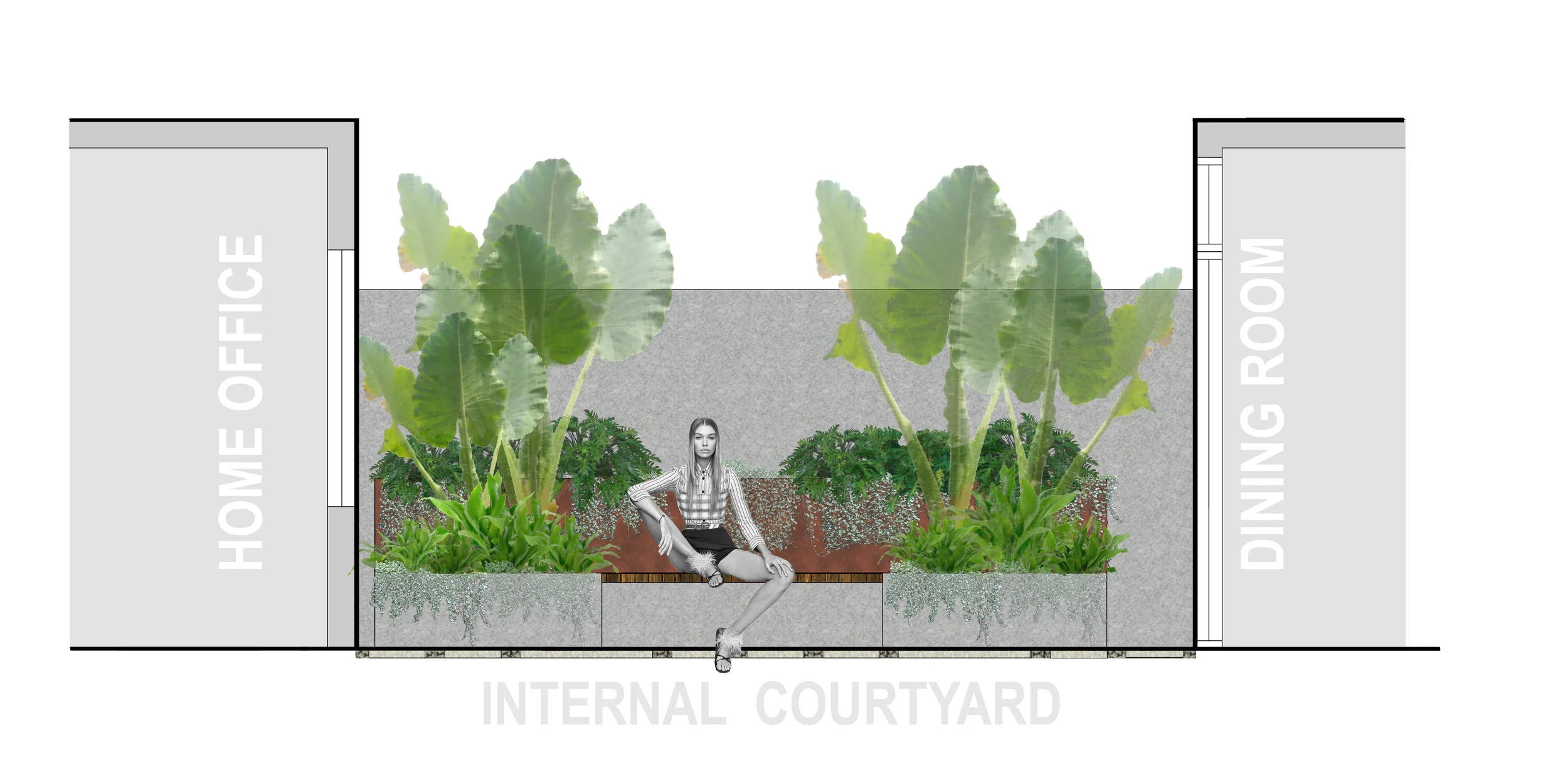 Camperdown Internal Courtyard Plant Design
