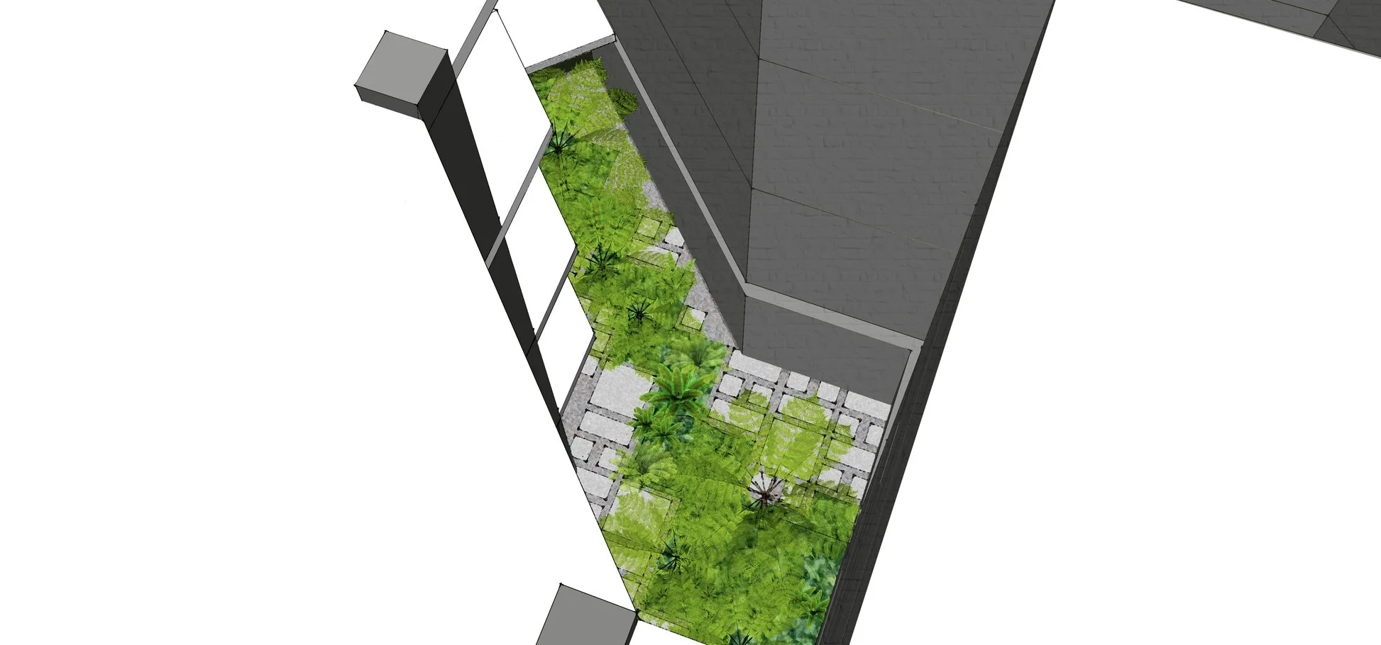 Mosman Internal Courtyard Plant Design