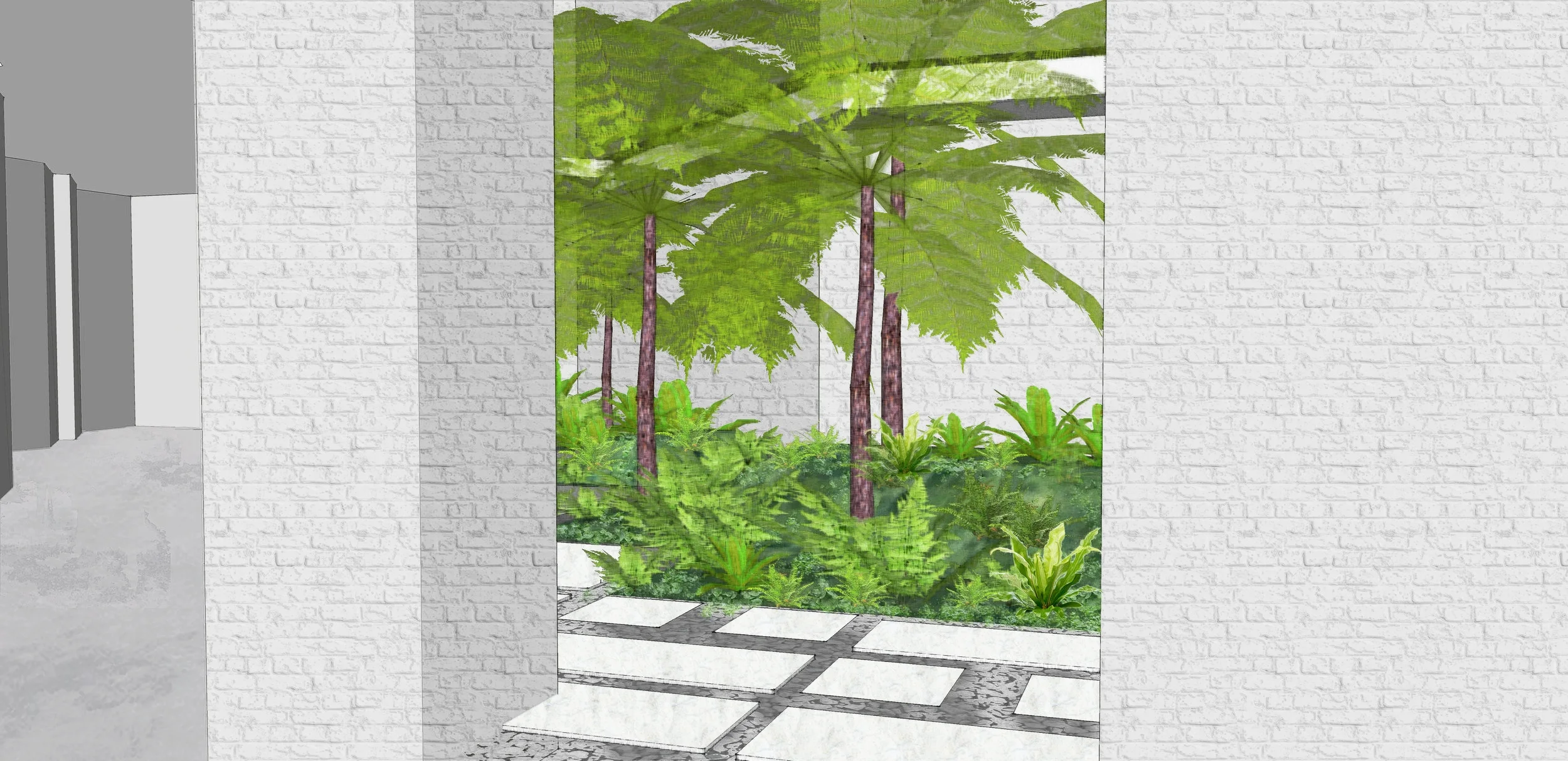 Mosman Internal Courtyard Plant Design