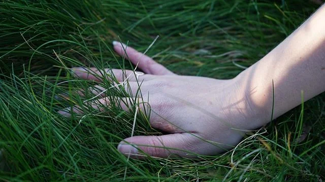 E T H O S :: Indoor plants are definitely "on trend"- but there's so much more to it - as humans we have a primal desire for connection to nature, its written into our DNA. Certain plants can help us sleep, purify the air or improve concentration and encourage productivity at work. Research shows gardening can even slow down the onset of Alzheimer's! Other research proves that simply looking at a view of nature from your hospital window can result in faster recovery times for patients! Plants are much more than aesthetic homewares - they're mini therapists. Thats what @interiorlandscapes is all about..educating and inspiring people about the transformative power of plants - to be the perfect finishing touch to your loungeroom but also to go deeper to improve our wellbeing and remind us of our aliveness and connection to all living things.