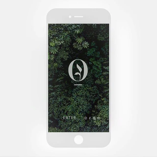 2 0 1 4 :: You know something crazy... I just noticed in my emails that I registered this domain www.interiorlandscapes.com.au back in 2014!!!! I’ve been paying for it each year, before I knew what it was.. but I knew one day I’d make something of it ✨ have you signed up for the newsletter yet? Link in bio.