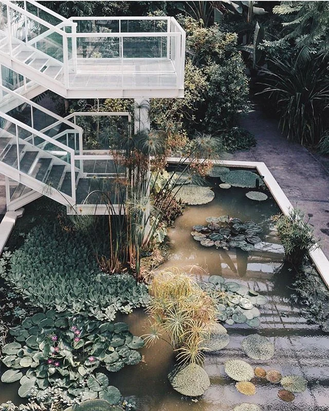 BOTANICS :: This place is something straight out of a dream....The worlds oldest botanic garden (near Venice). ✨ Added to bucket list. ✔️ Image via @kenmarten