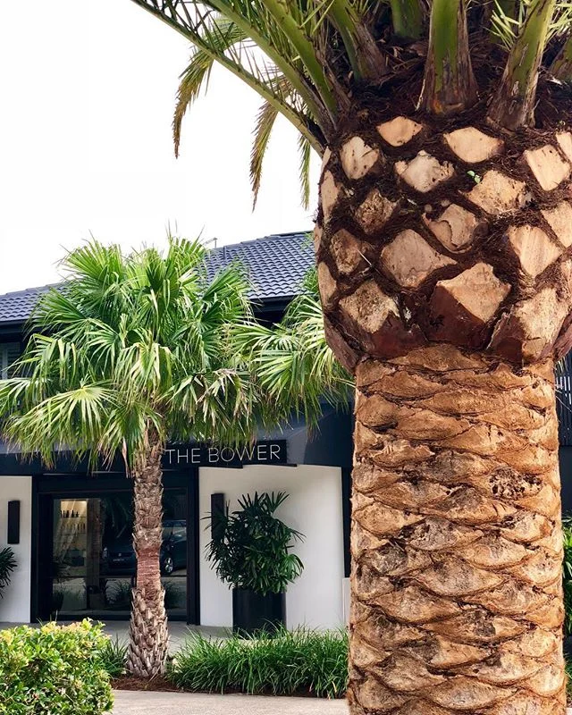 B O W E R :: I really felt like a genius for booking this place for some R & R after Bluesfest instead of returning straight on a flight back to Sydney. That pool and shower were just what the doctor ordered after 3 days of festival camping. 😌 ps more pool photos and video walk through of that rediculous outdoor jungle shower on my story.