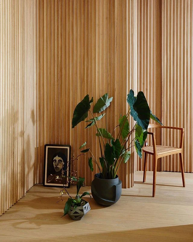 LIGHT :: When I shared that rubber plant in that amazing pot next to that equally amazing armchair a few posts back, I in turn found my new favourite photographer @nicole_franzen! I then fell quickly into a huge hole of heavenly styled interiors. Her portfolio features a lot of perfectly paired designer chairs with plants like this #calocasia sitting pretty in another @lightandladder pot and always with the perfect light ✨