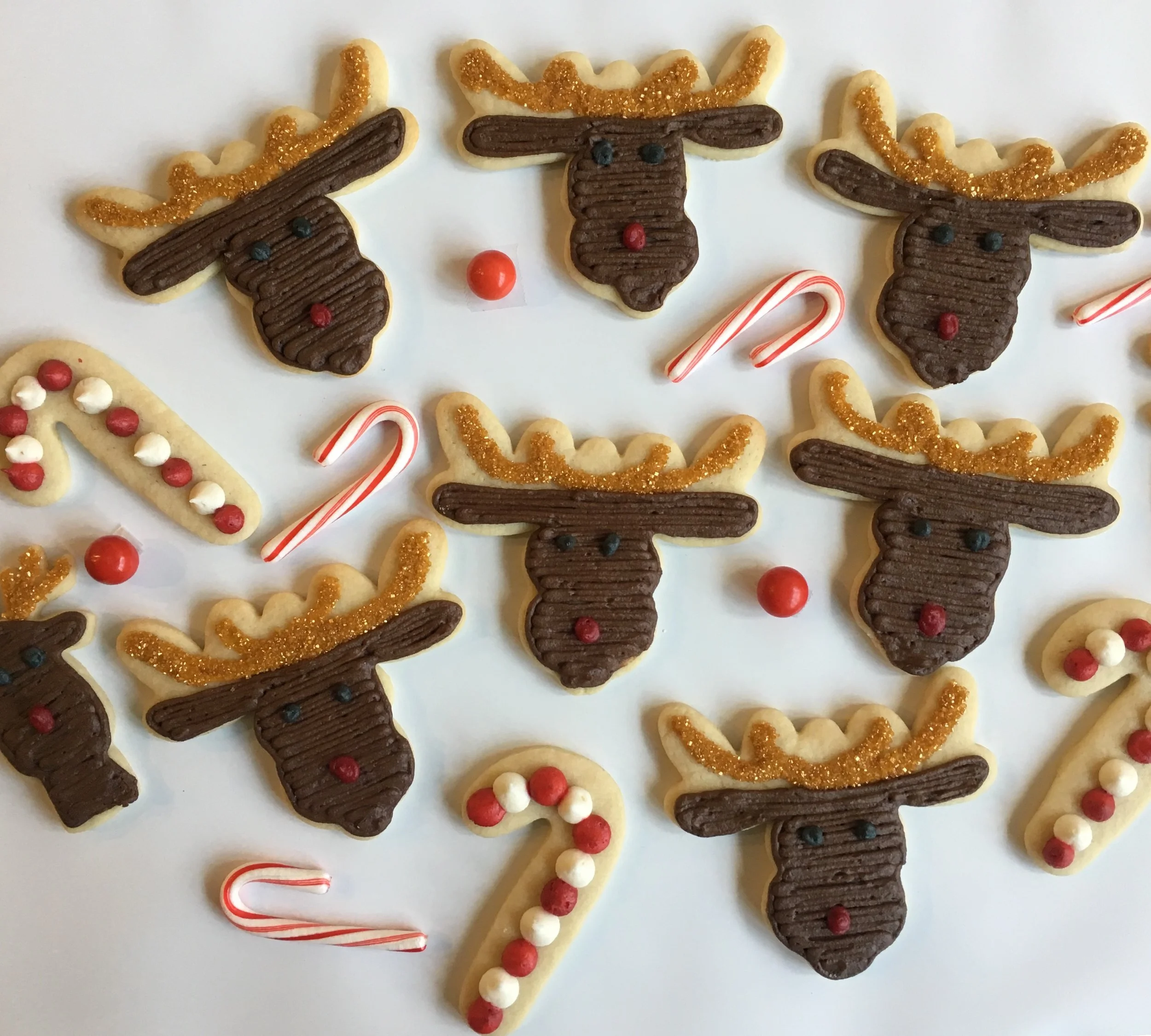 2017 Reindereer Cookies.jpg
