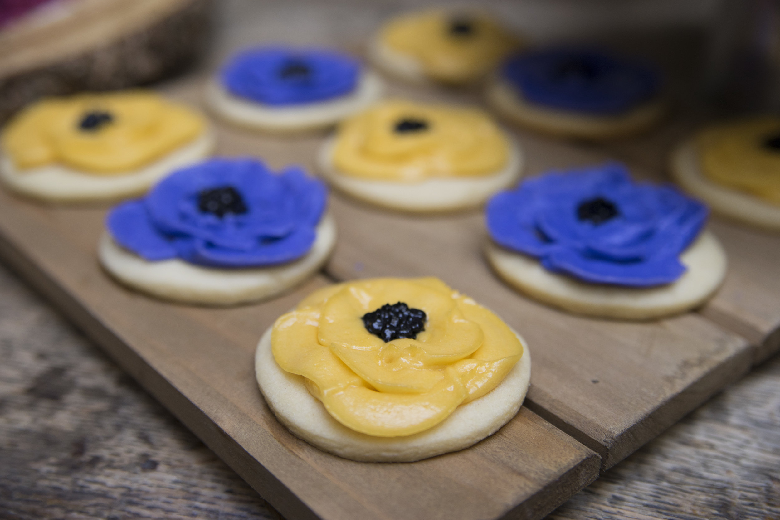 Maggie Cookies 4.JPG