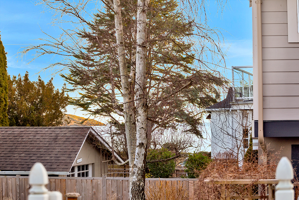 MACLEOD_MONTEREY_469-to-edit-37.jpg