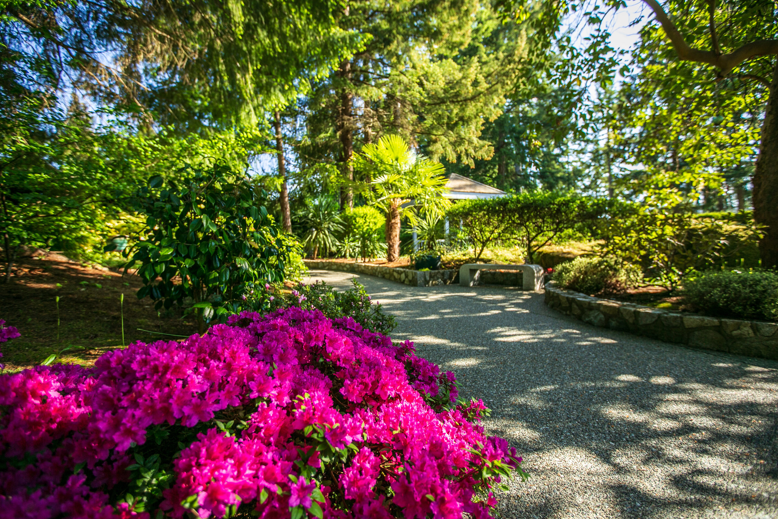 1259 Garden Gate-45.jpg
