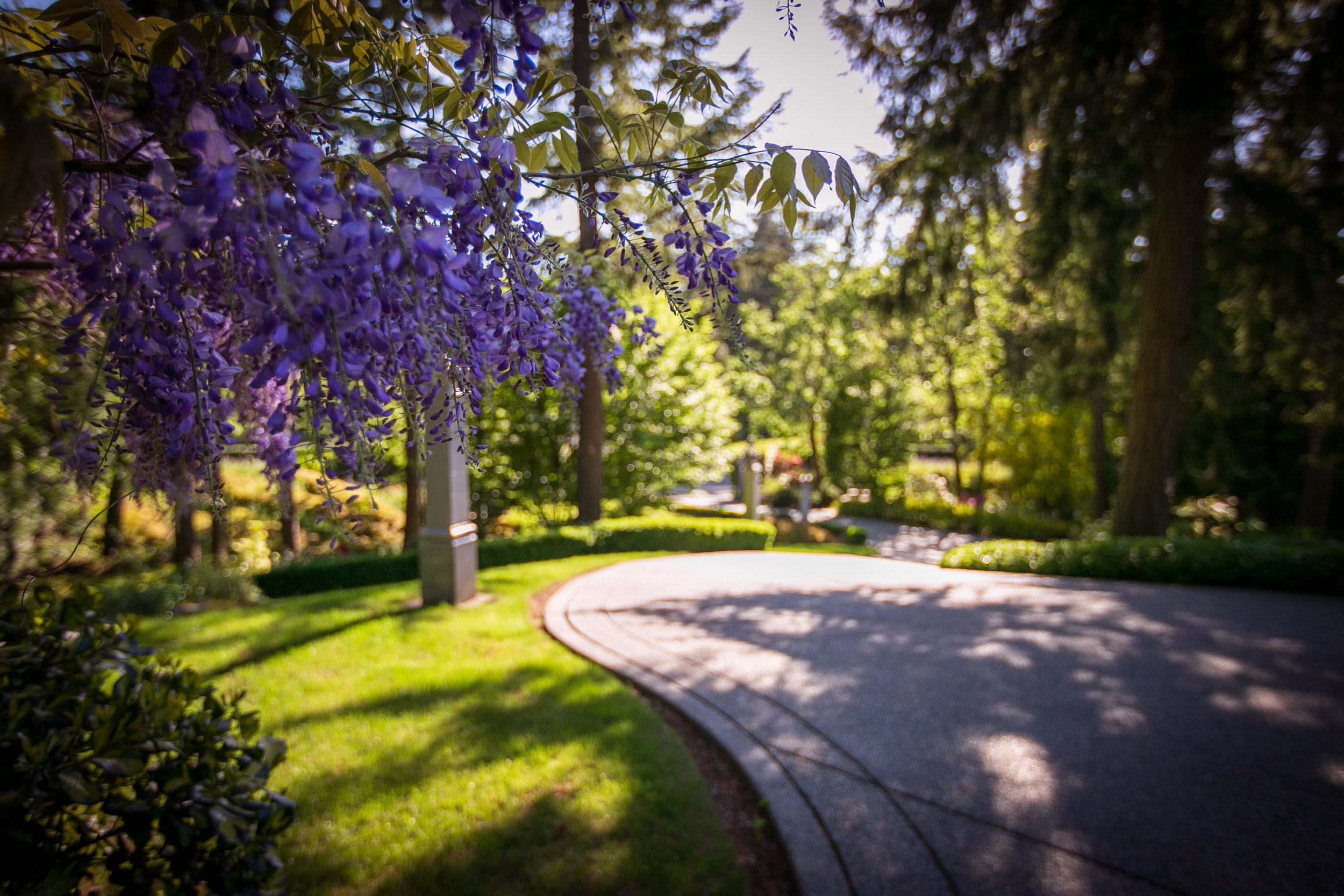 1259 Garden Gate-52.jpg