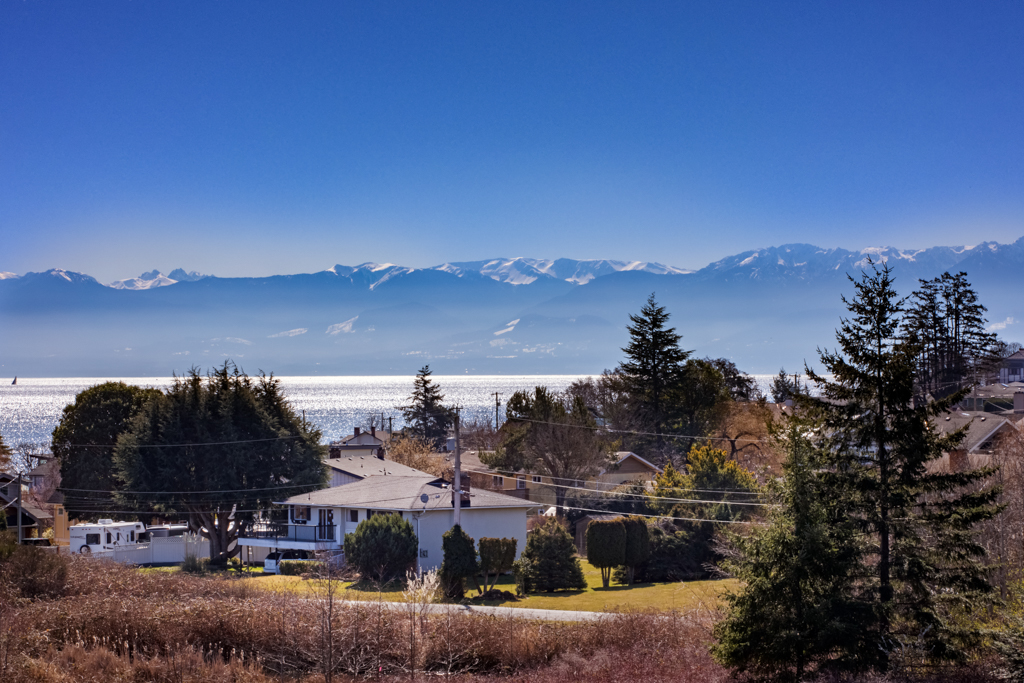 Views Small MLS-2.jpg