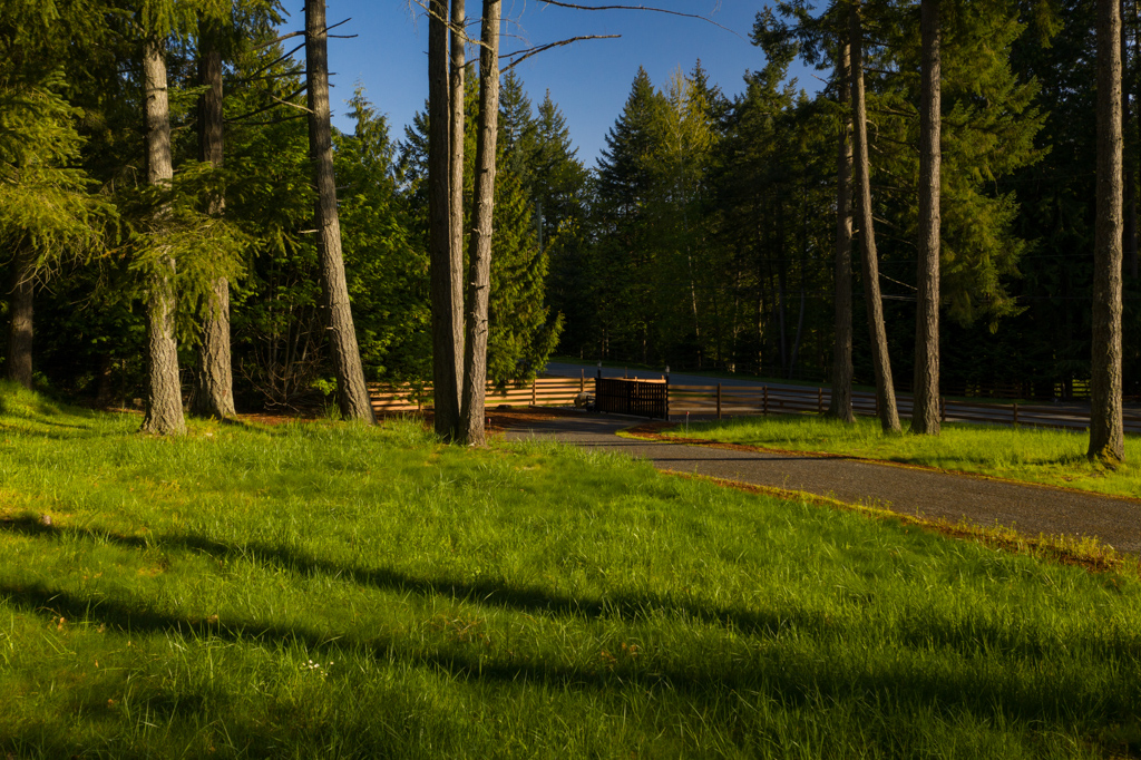 1217 Garden Gate-MLS-12.jpg