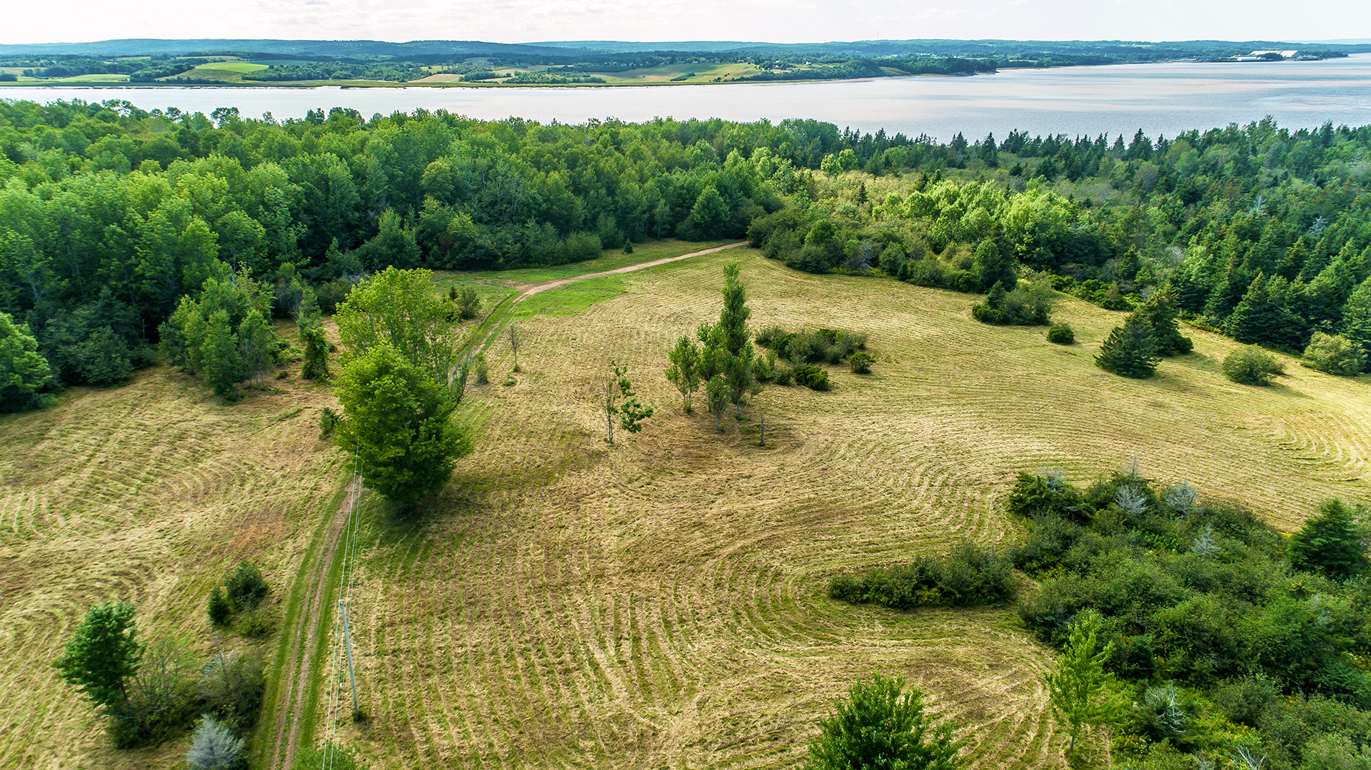 561 Belmont Drone_0098.jpg
