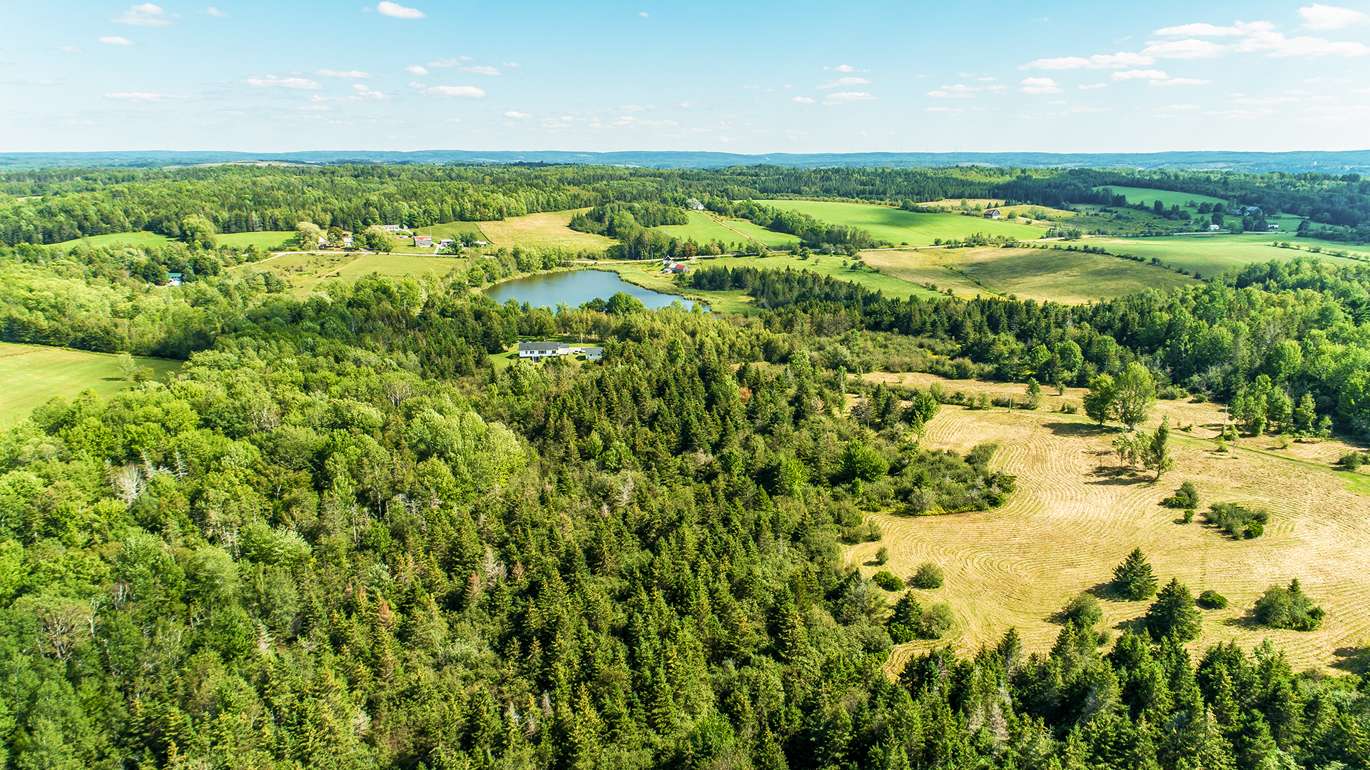 DJI_0056.jpg