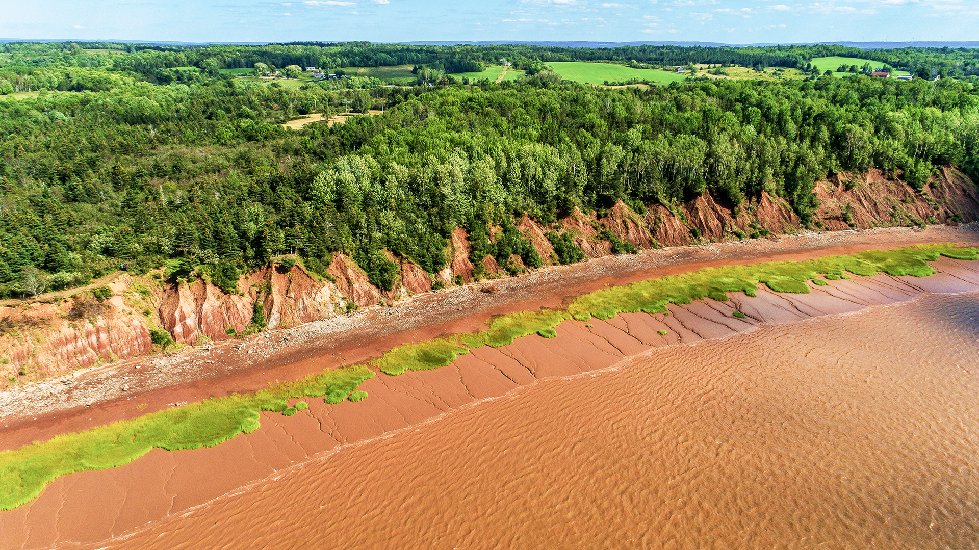 DJI_0067.jpg