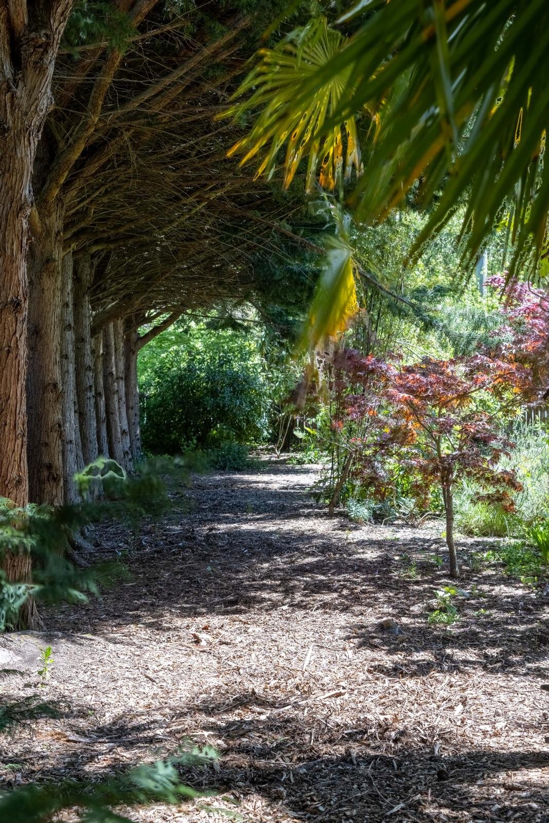 3766 Duke Road, Metchosin, BC 1,450,000 — MacLeod Group Sotheby's Realty Canada