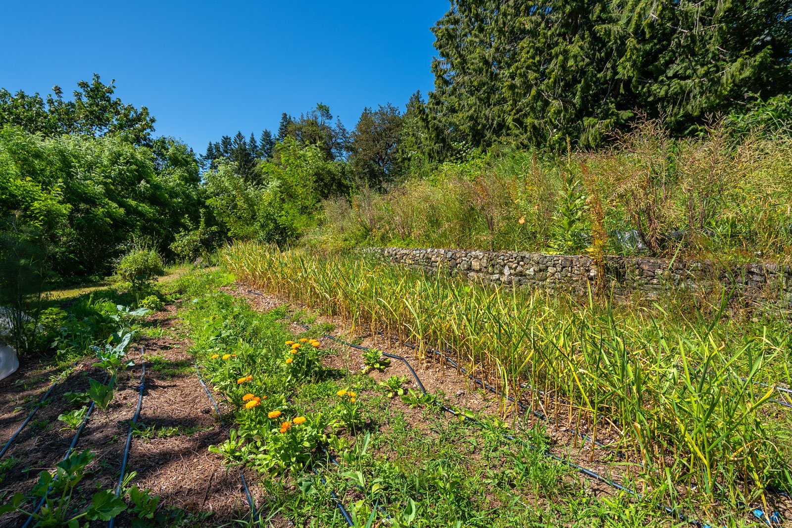2485 Koksilah Road, Cowichan Valley, BC