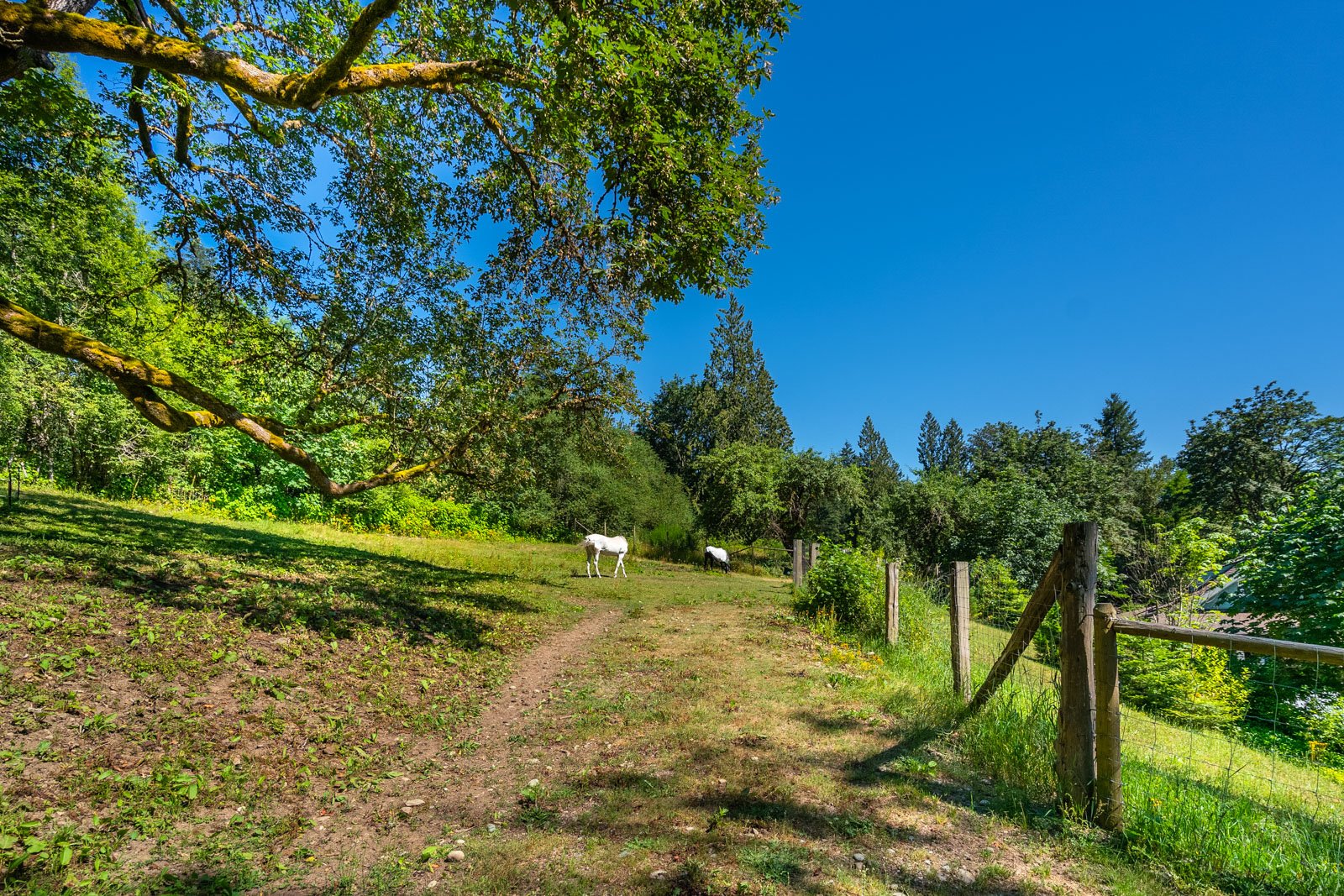 2485 Koksilah Road, Cowichan Valley, BC