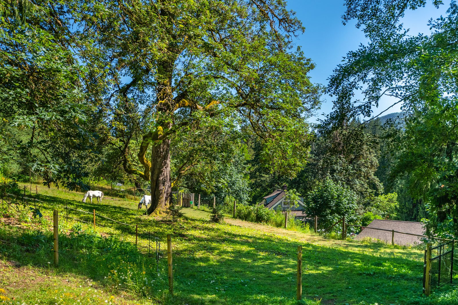 2485 Koksilah Road, Cowichan Valley, BC