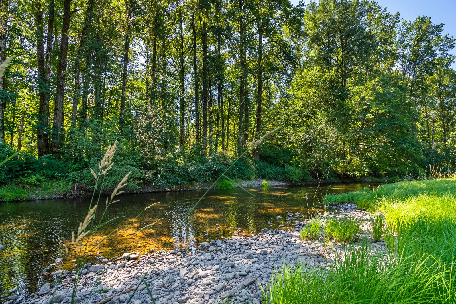 2485 Koksilah Road, Cowichan Valley, BC