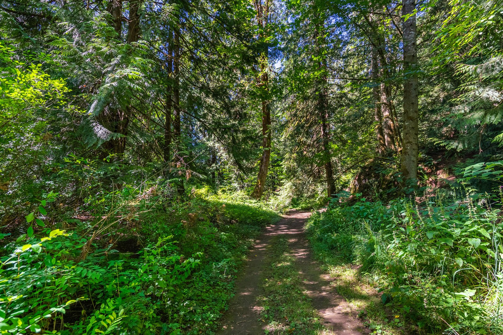 2485 Koksilah Road, Cowichan Valley, BC