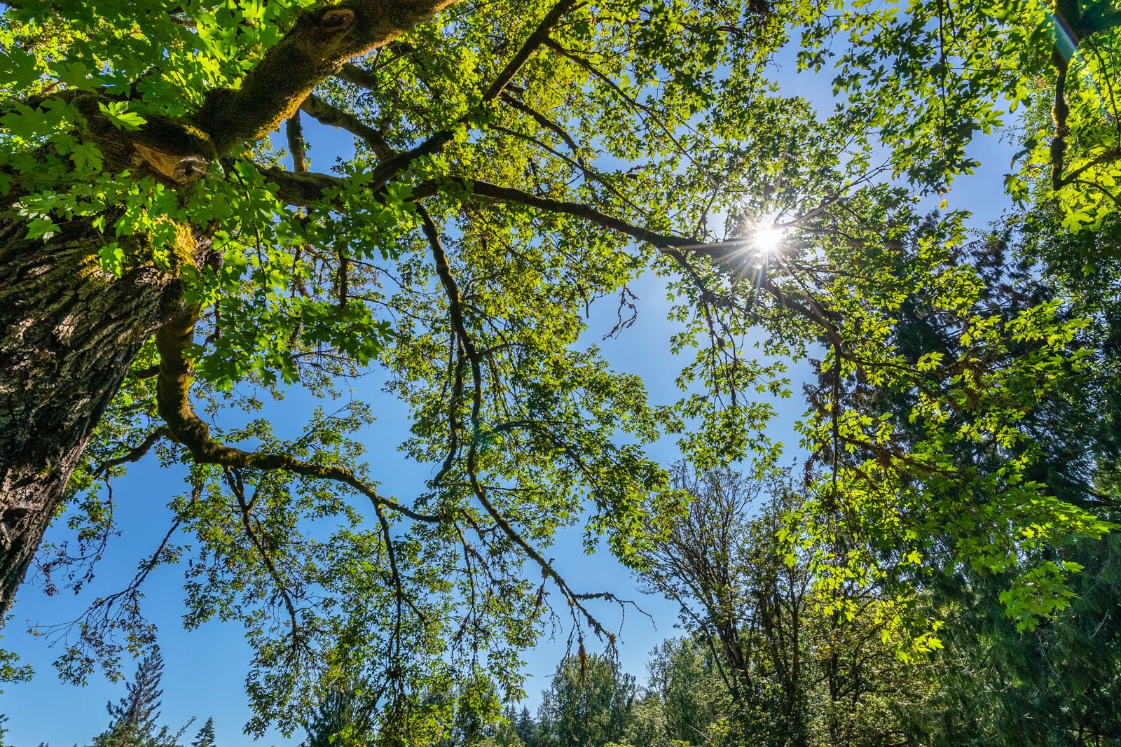 2485 Koksilah Road, Cowichan Valley, BC