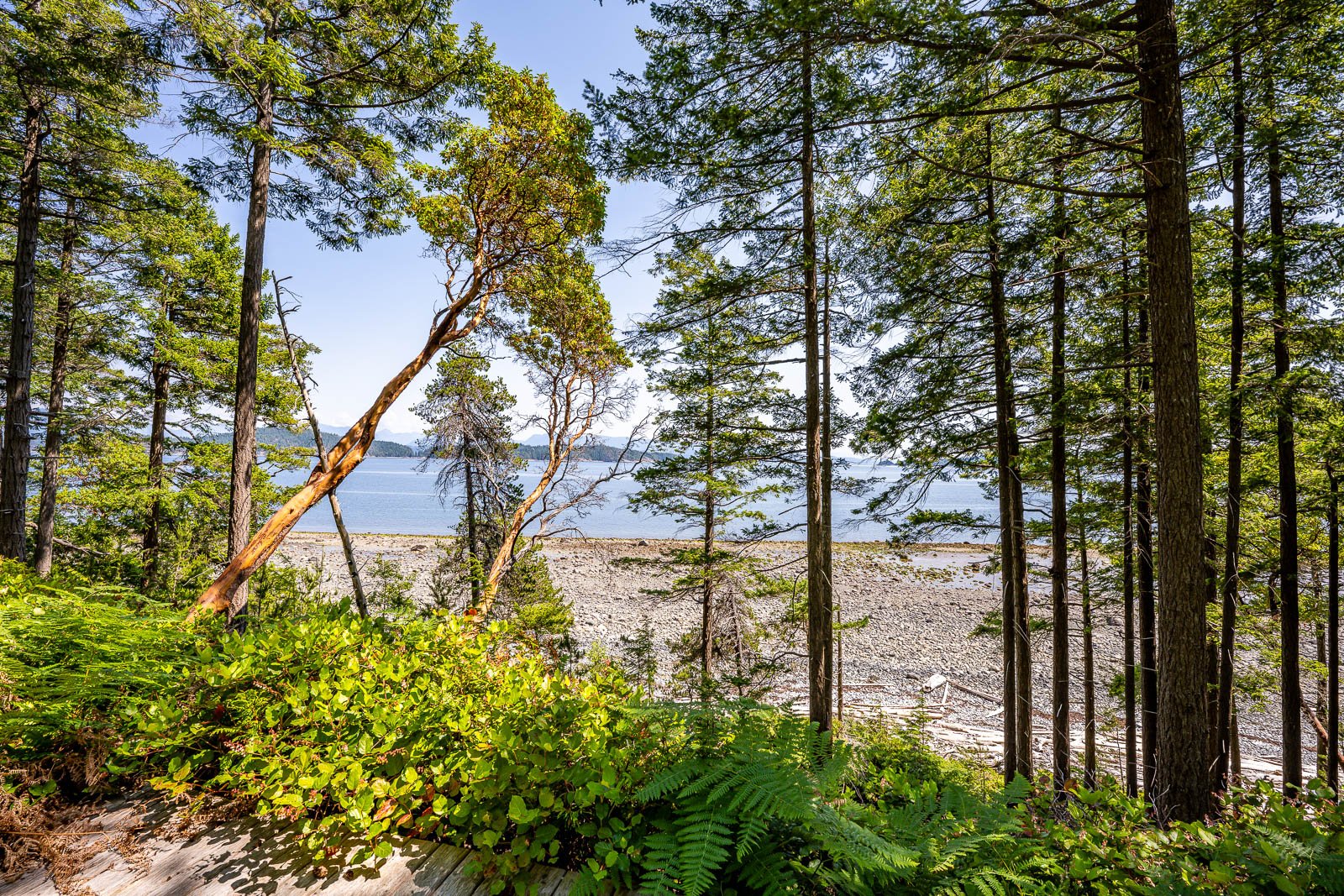 262 South Point Road, Cortes Island, BC -39.jpg