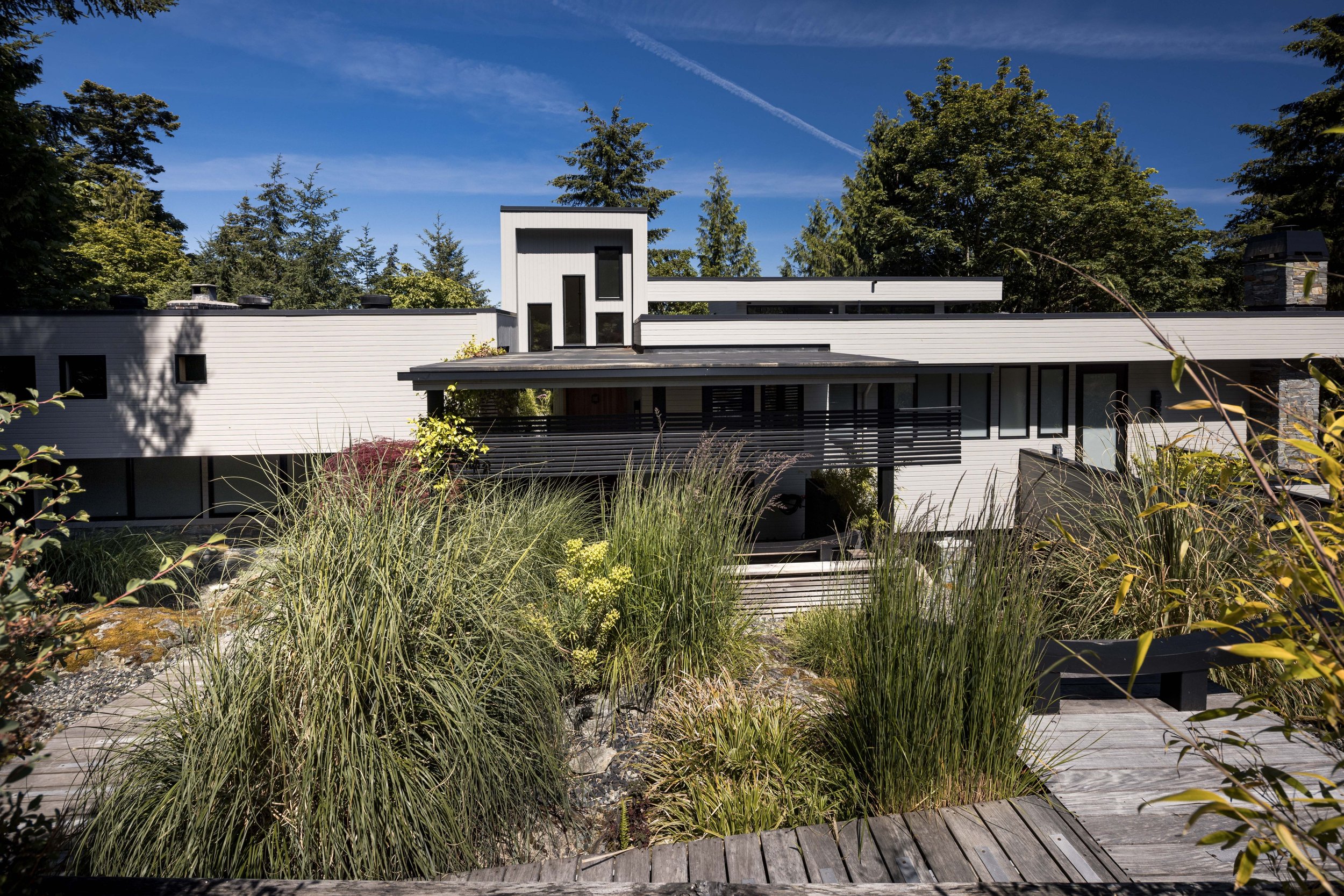 008_683_steamer_8_of_45_223.jpg
