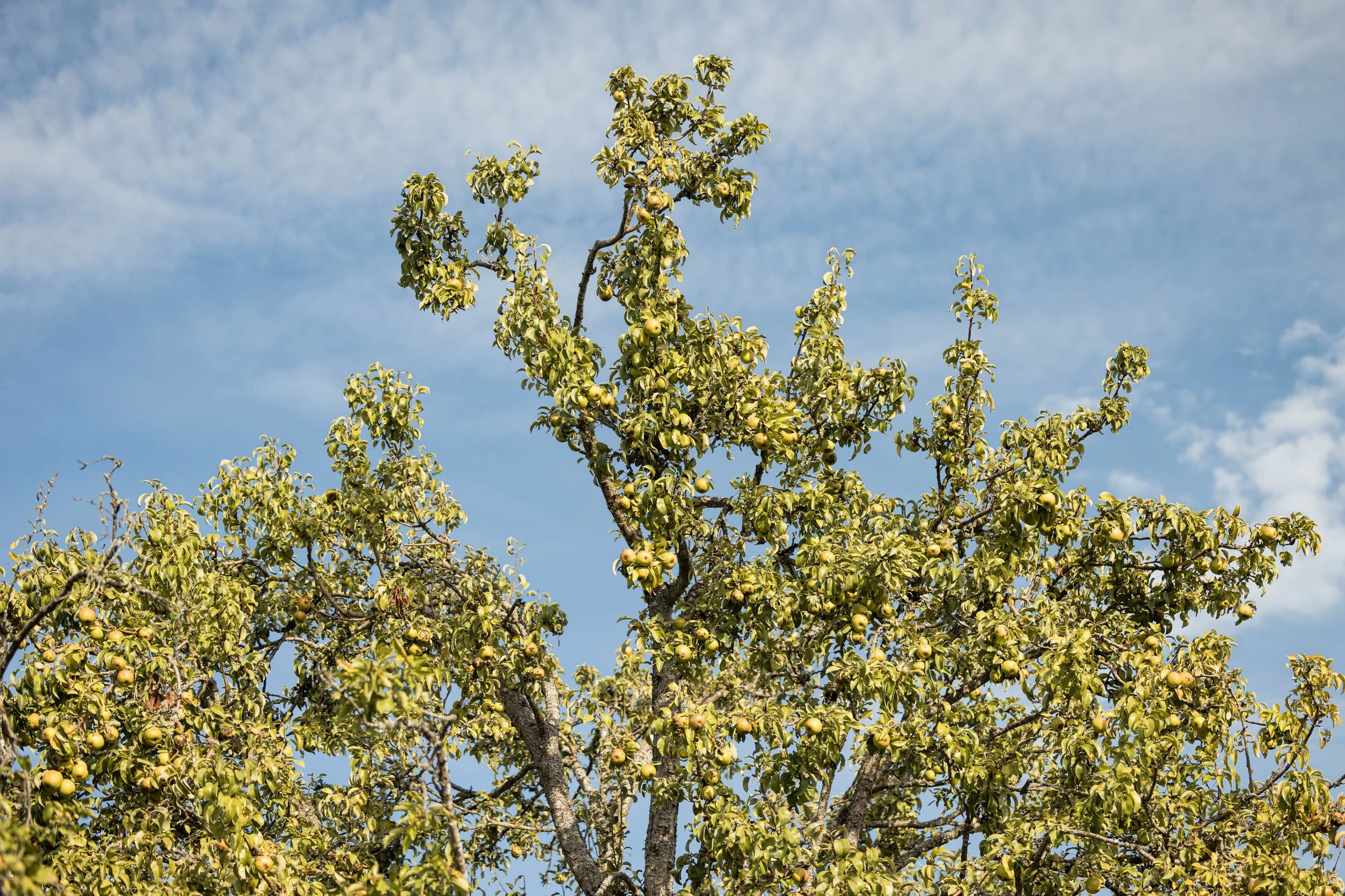 5960 Hunt (14 of 90).jpg