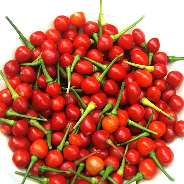 Wiri Wiri Peppers