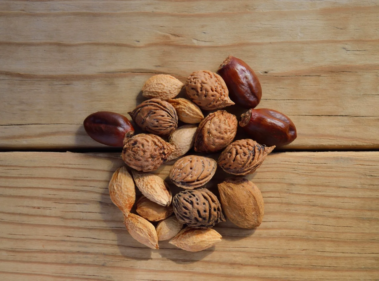 mixed nuts.jpeg
