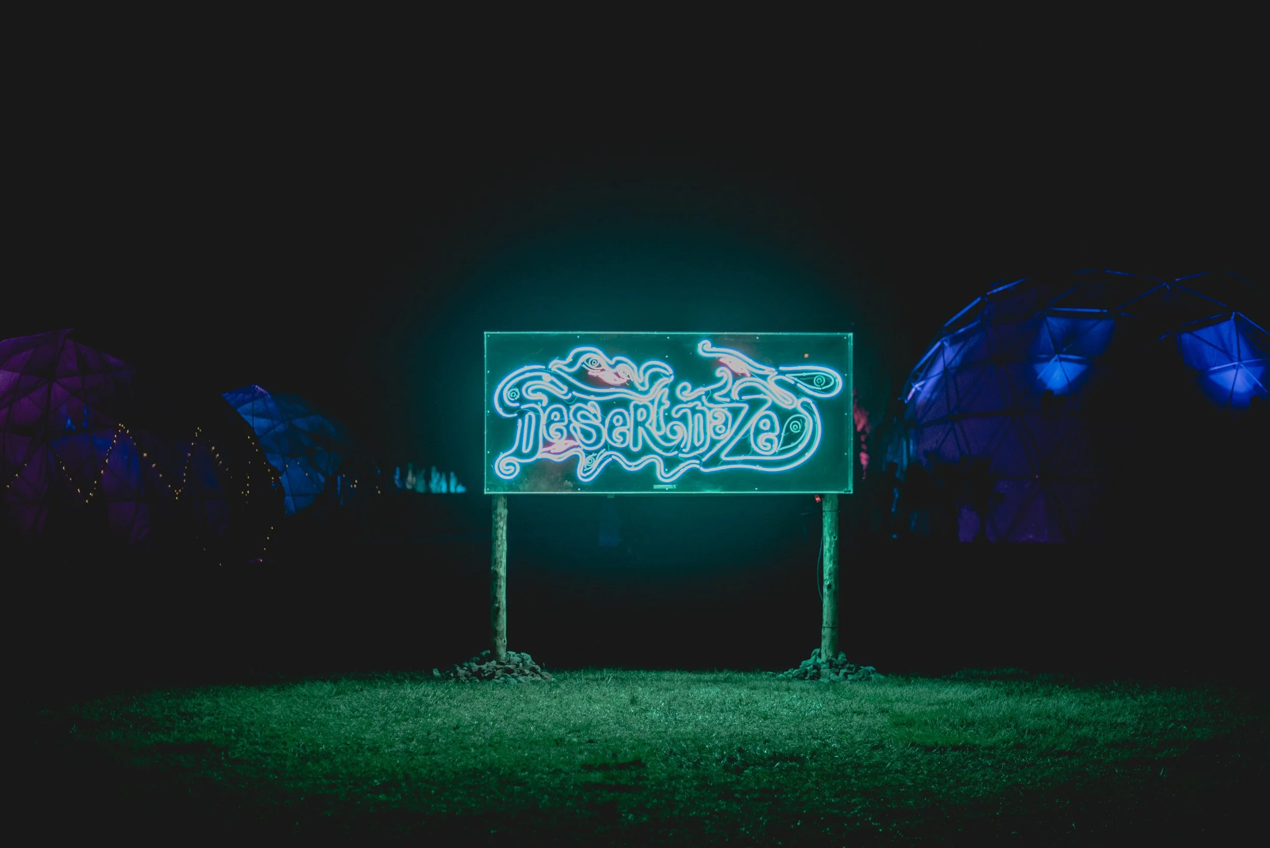 Desert Daze 2019-90.jpg