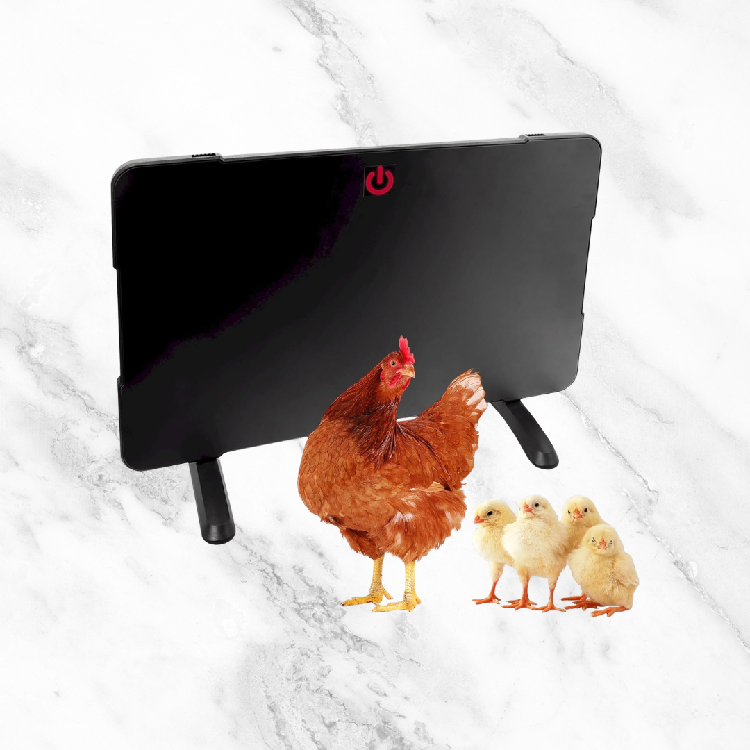 8.png