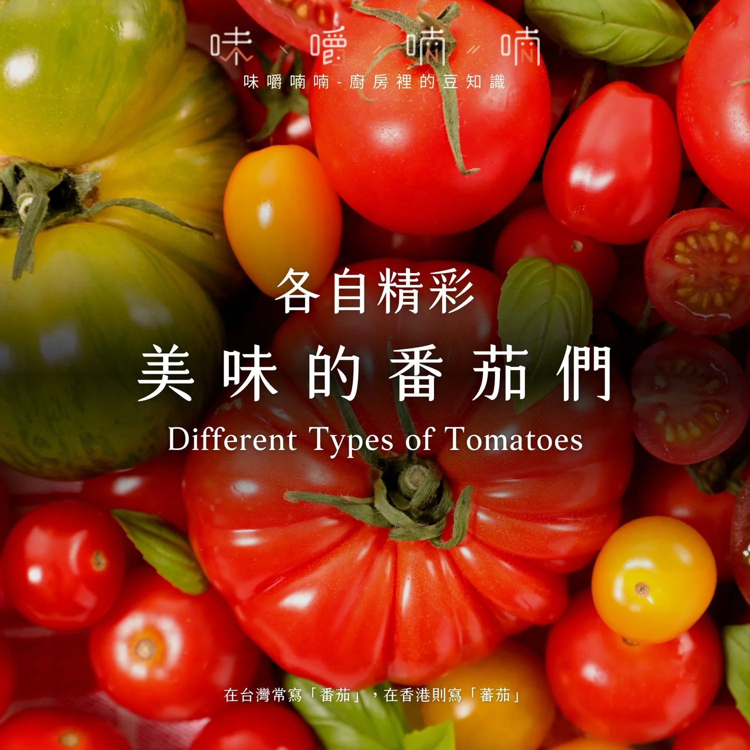各自精彩｜各式各樣的美味番茄