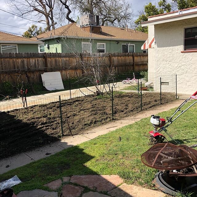 Here is the before and after of my garden. I started my tomato garden on the 2nd week of quarantine because I was bored. I&rsquo;ll have tomatoes by mid May.