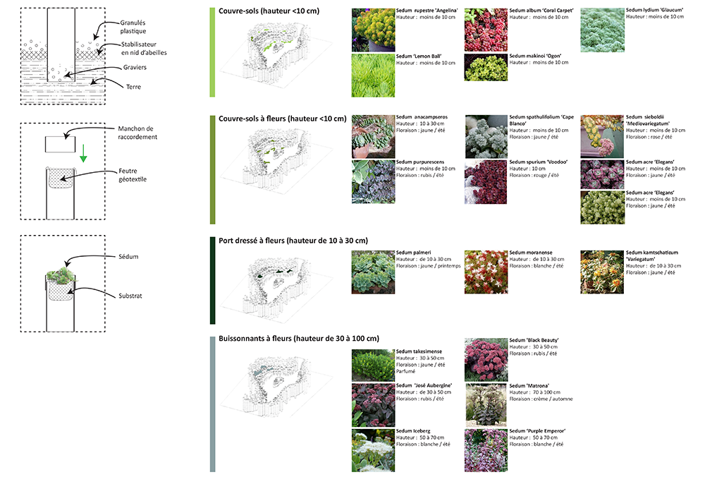 CHAUMONT-Plantations.png