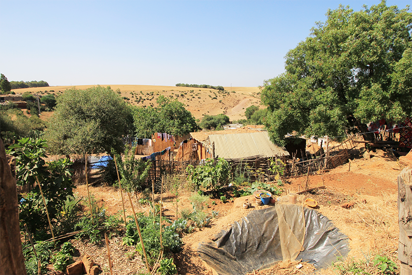 JARDIN DE MOHAMED | crédits photo : AER