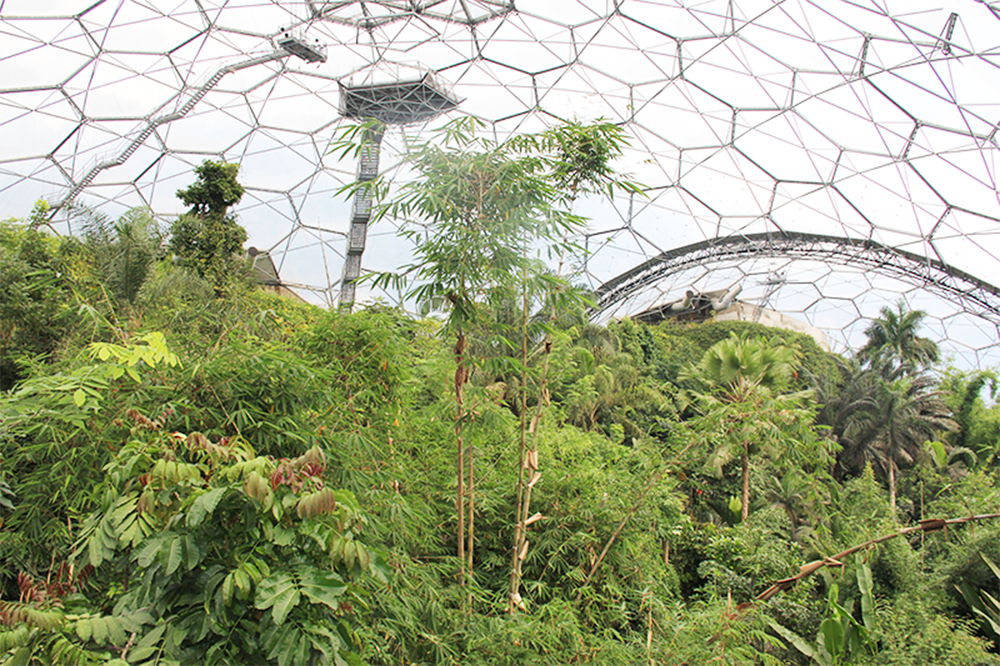 EDEN PROJECT | crédits photo : AER