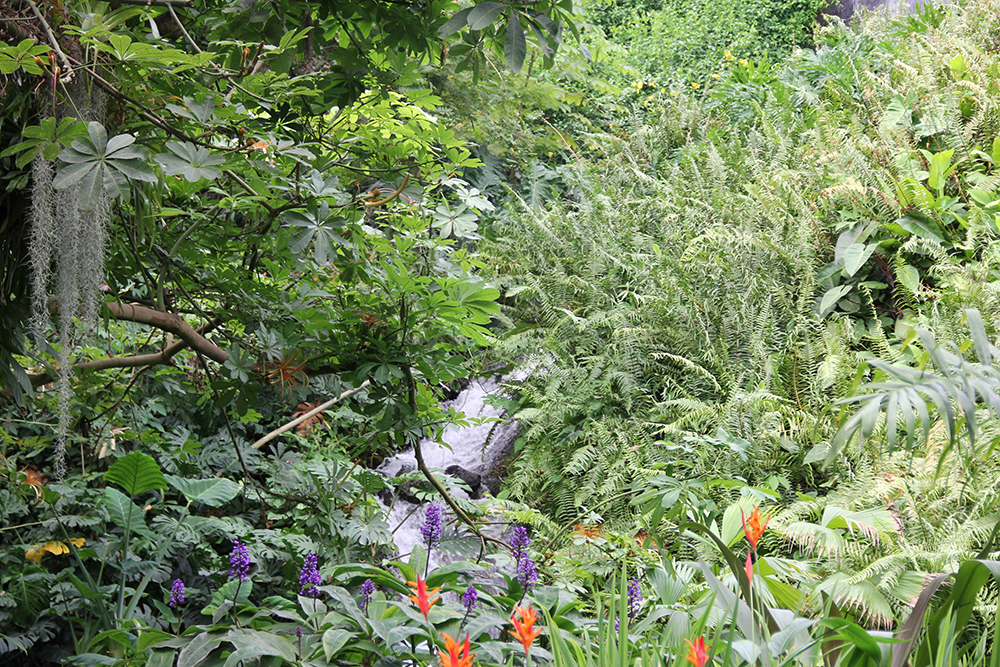 EDEN PROJECT | crédits photo : AER