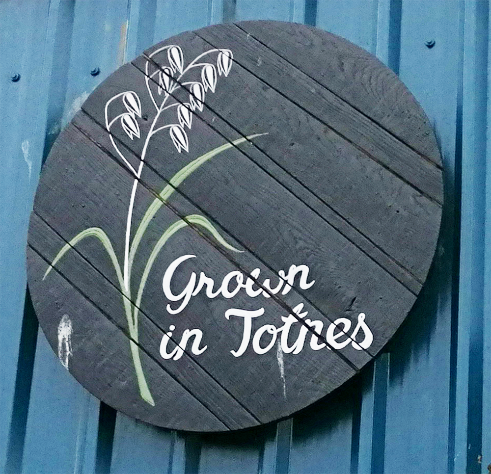 TOTNES | crédits photo : AER