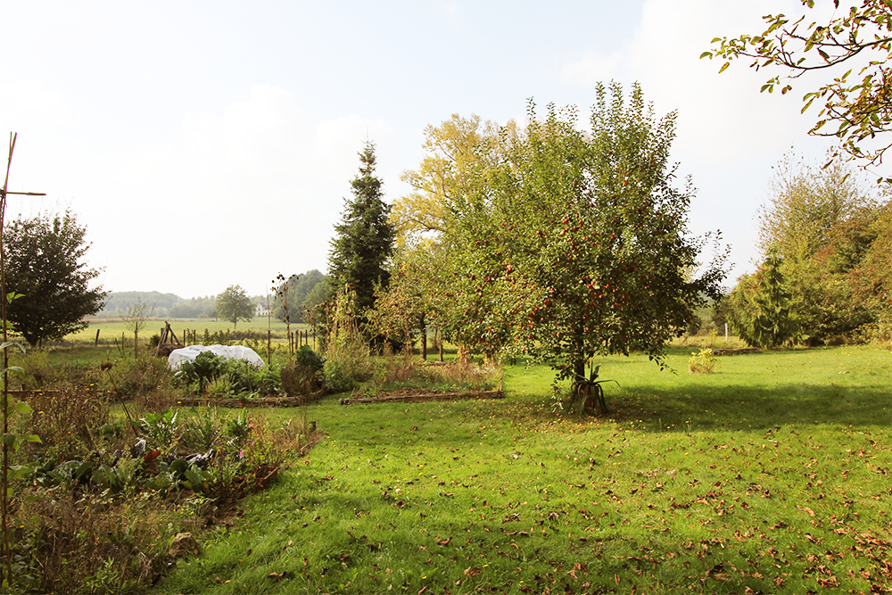 JUMENCOURT EN AUTOMNE | crédits photo : AER