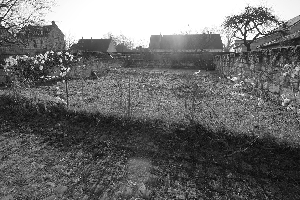 UN JARDIN A CREER | crédits photo : AER