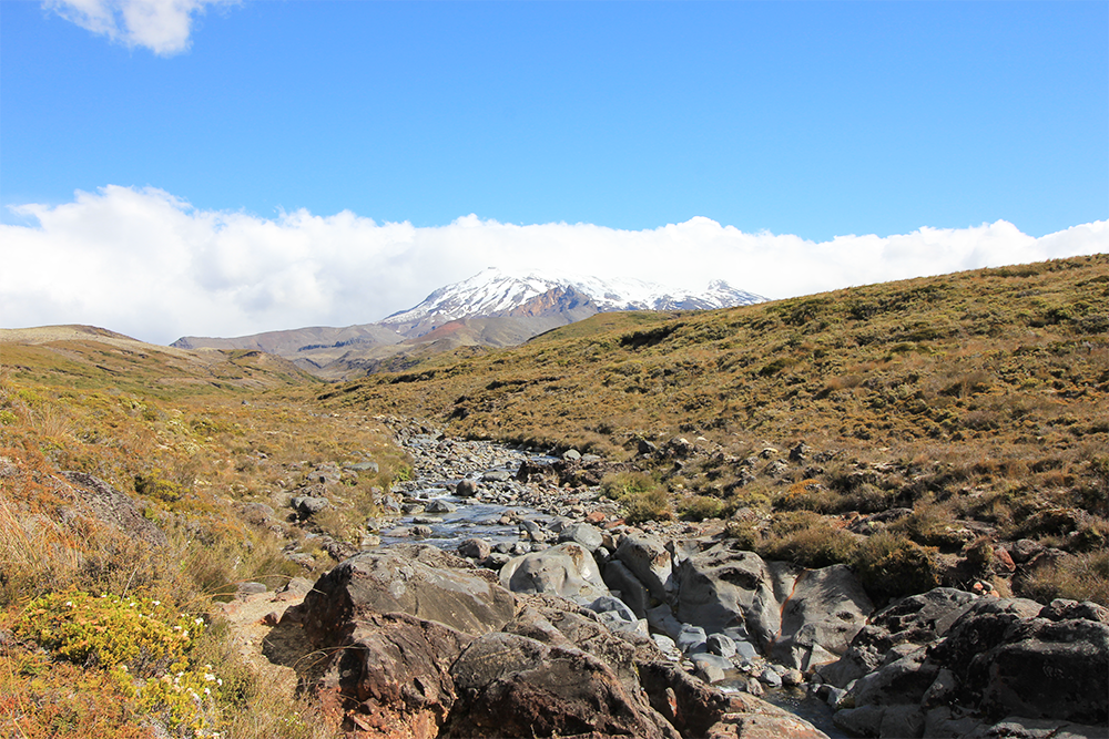 TONGARIRO NATIONAL PARK (été) | crédits photo : AER