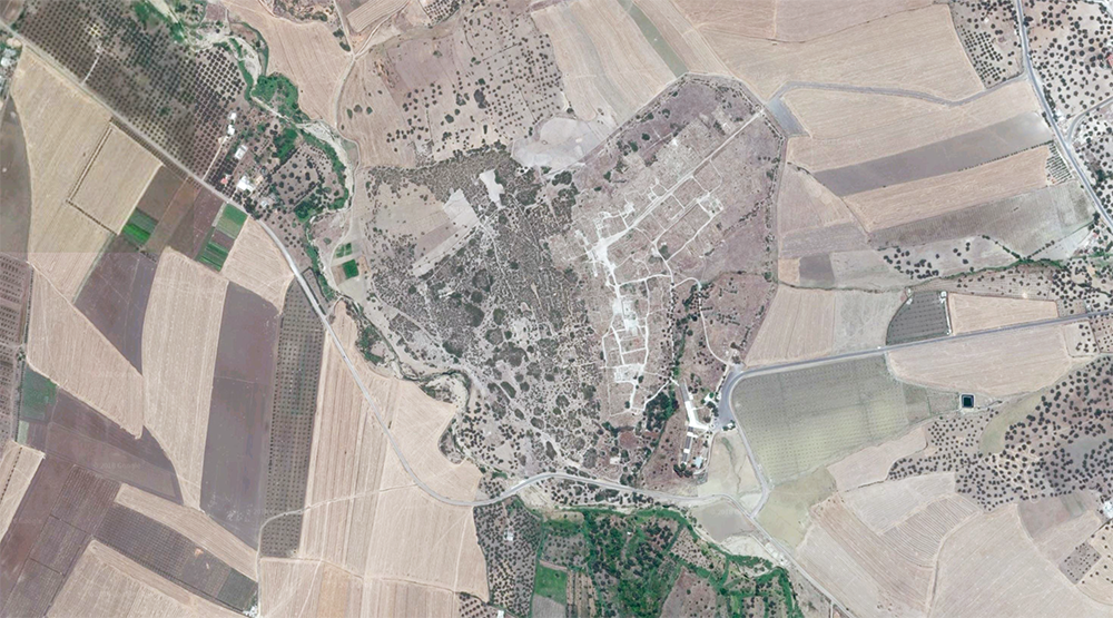 FOCUS | Volubilis, cité romaine au Maroc