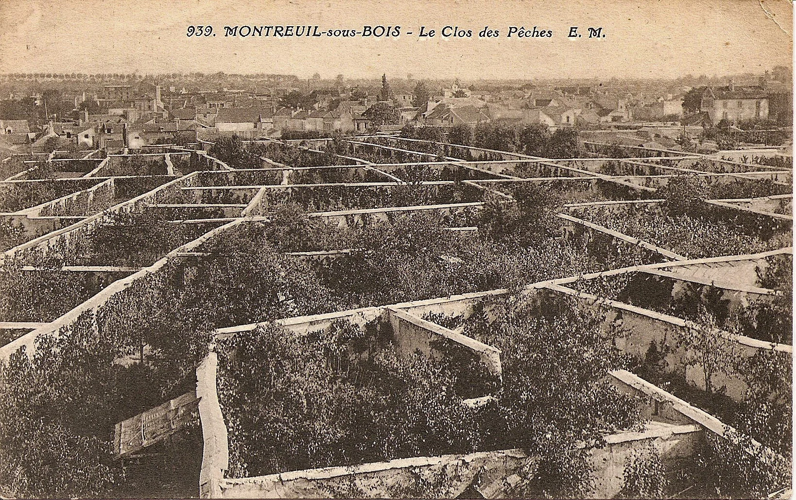 MURS A PECHES A MONTREUIL AU DEBUT DU XXE SIECLE | crédits photo : Fracademic