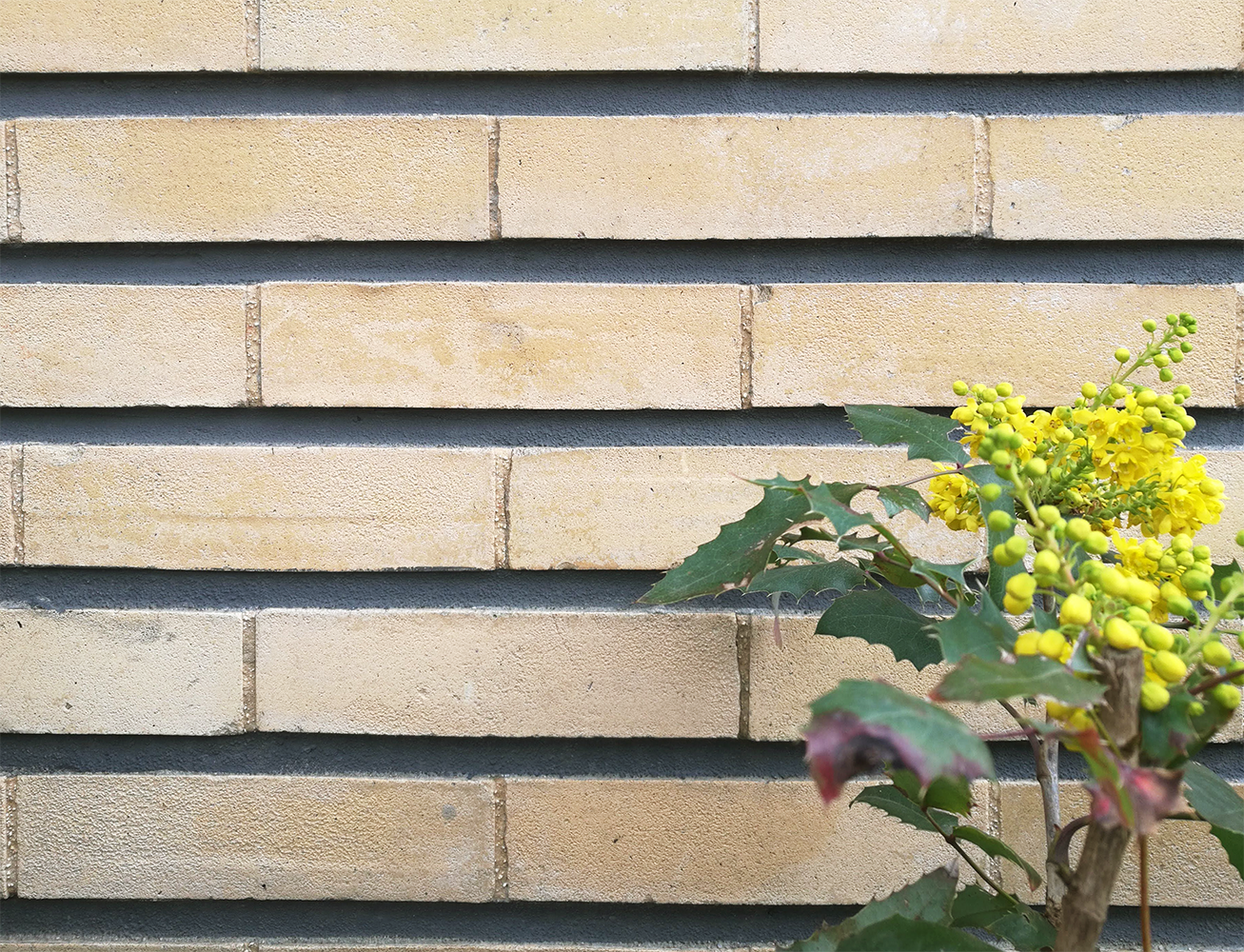 DETAIL BRIQUE DE PAREMENT | crédits photo : AER Architecture