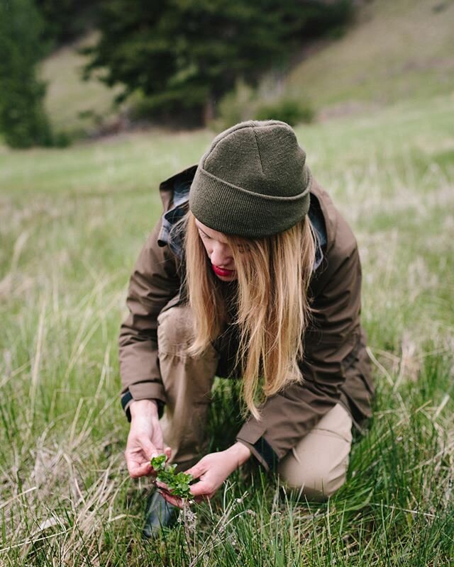 Just starting your foray into wild food foraging?

We created a list of some our favorite online resources for help with getting you outside and finding wild food. 
Check out the post on the stories section of our website. 
Thanks so much to the many