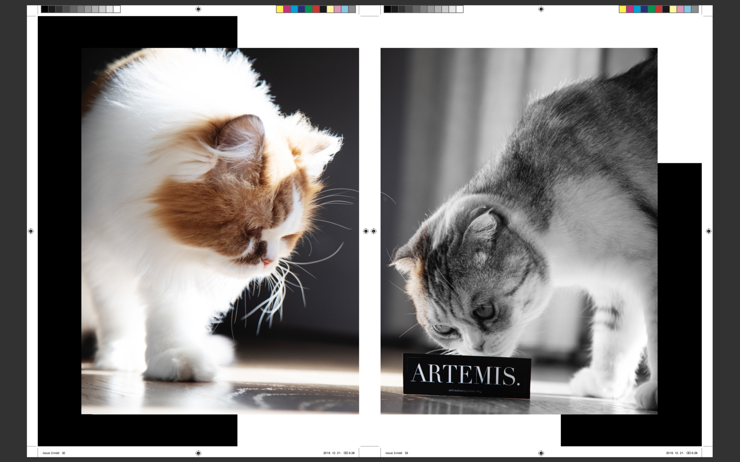 Screen Shot 2019-01-11 at 3.24.22 AM.png