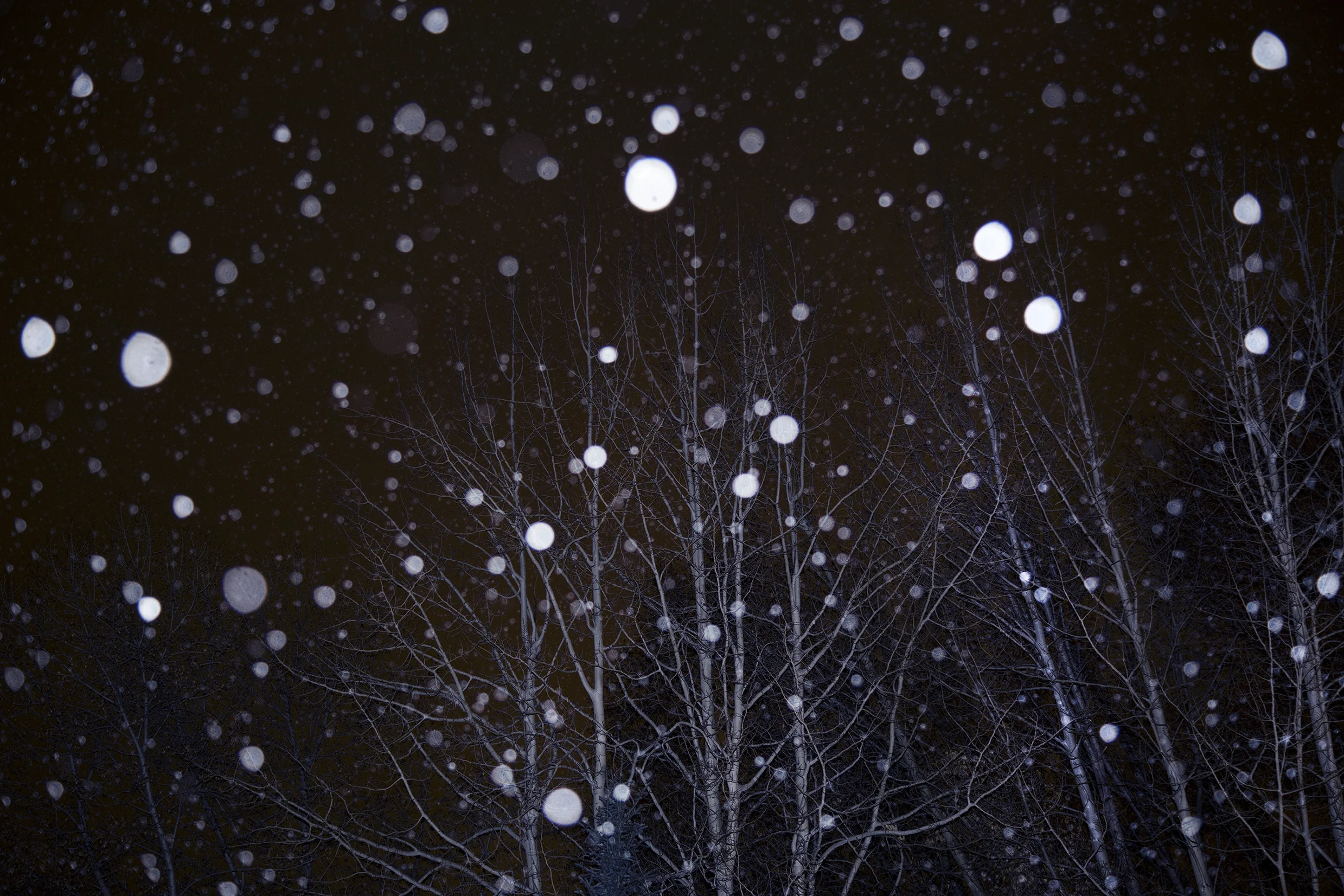 IMG_8707 copy.jpg