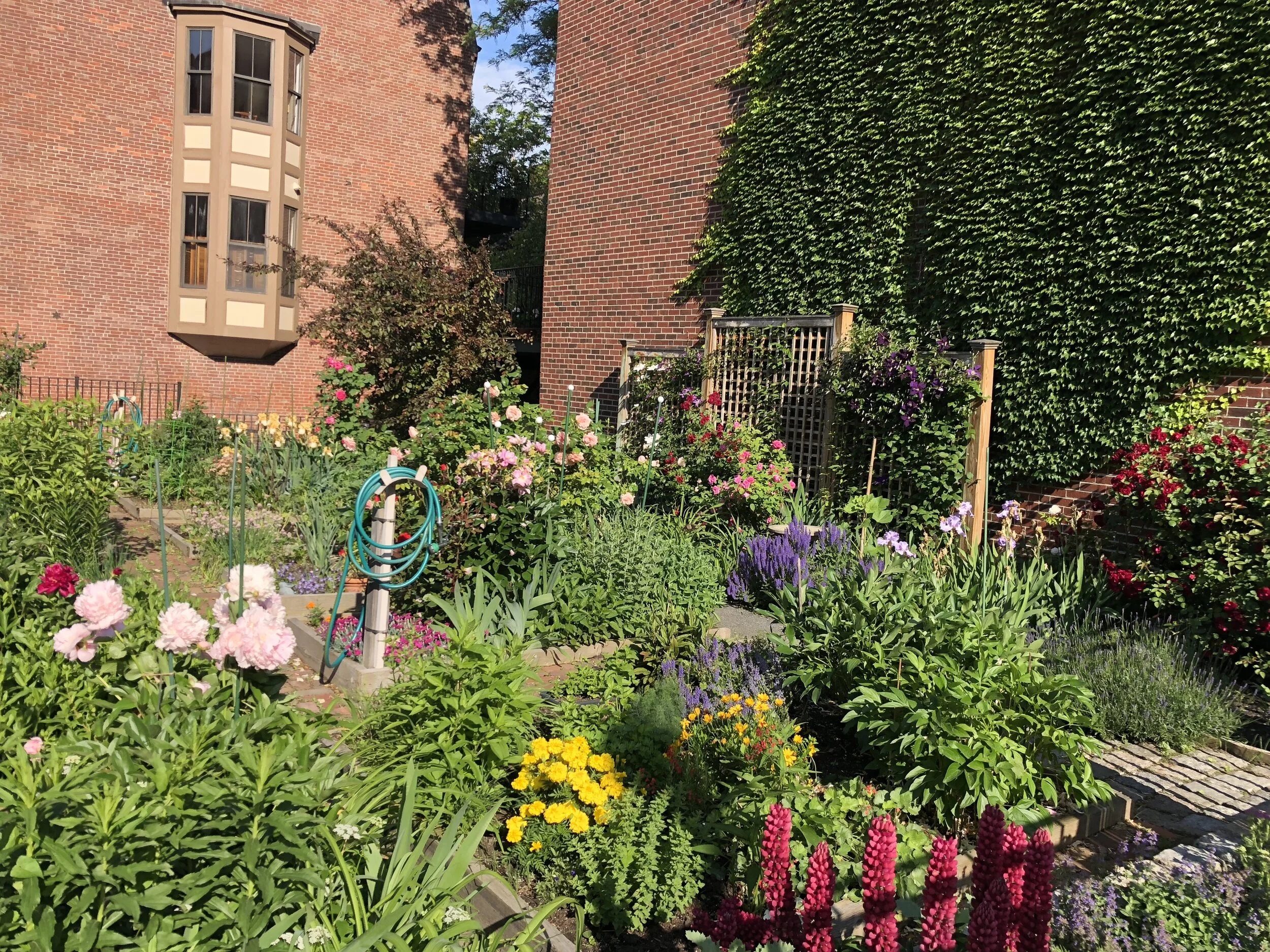 Secret Garden Tour | South End, Boston 