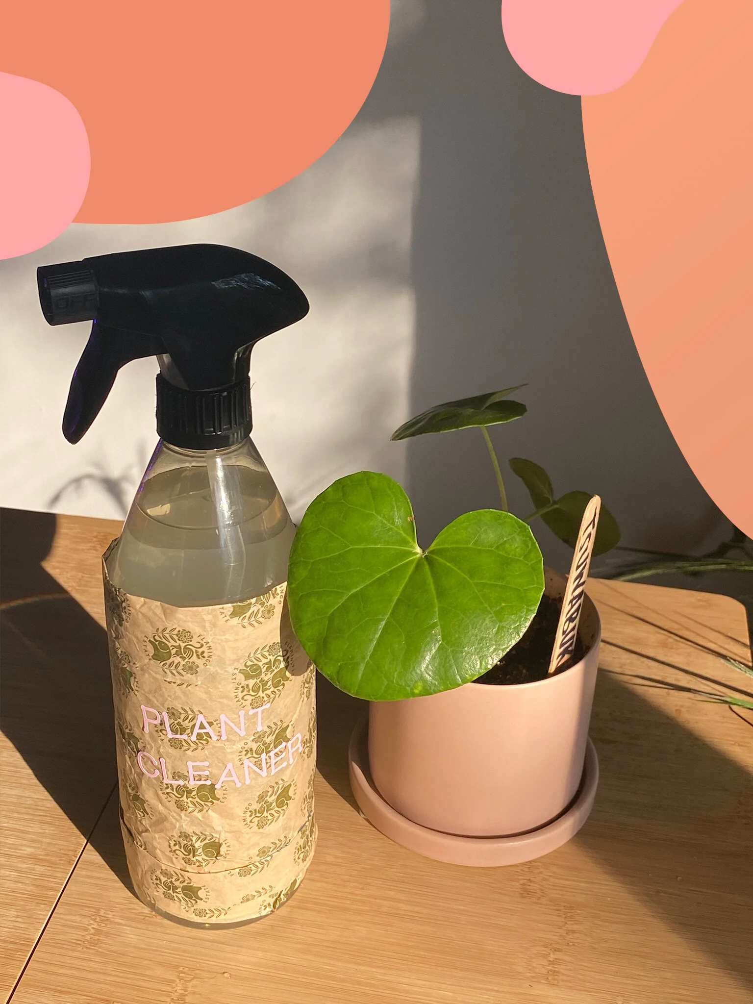 DIY Non-Toxic Houseplant Cleaner 